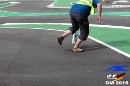 2015 LRP HPI Challenge DM